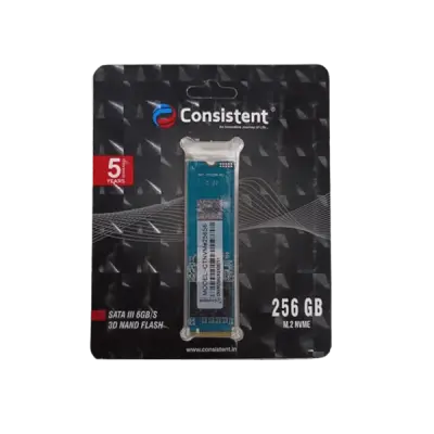 Consistent SSD NVME 256GB