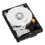 Consistent SSD NVME 256GB