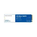 Western Digital WD Blue 250GB M.2 SSD